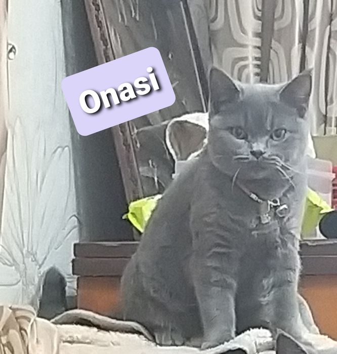 Eila Sekuraning erotik fotosuratlari