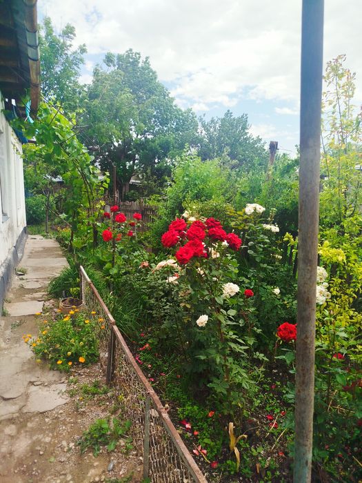 Продам частный дом