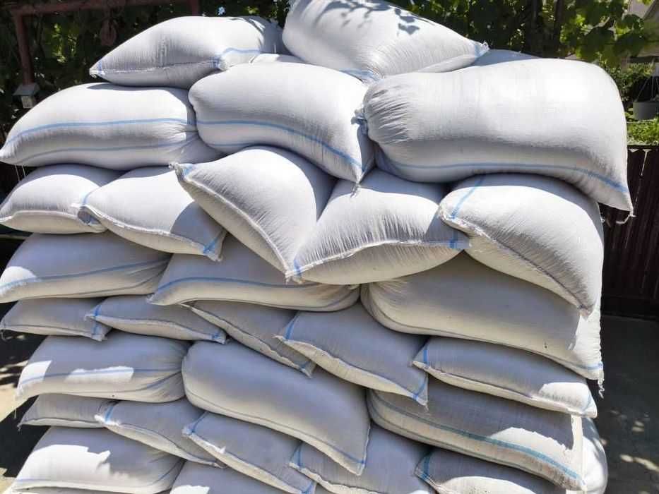 Orz pentru animale caii oii