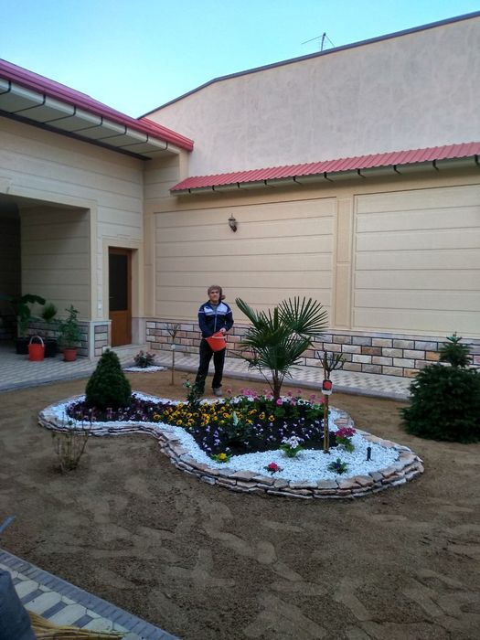 Газон егемиз спорт мастер