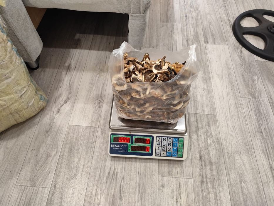 Грибы сухие ( БОРОВИК )