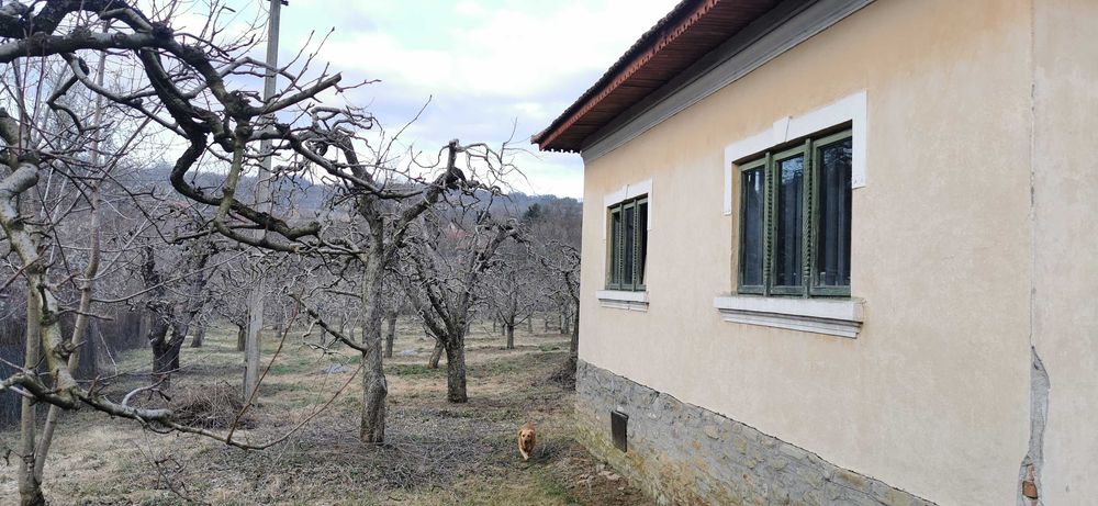 Casa batraneasca Malu cu Flori cu livada de meri