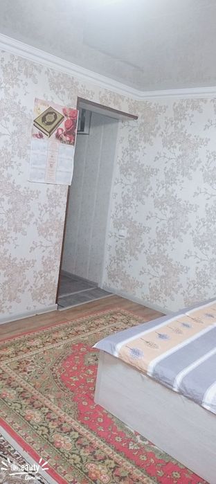 Сергели Янгихает массив Спутник 1