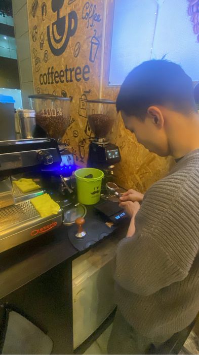 Курс бариста Индивидуальное обучение