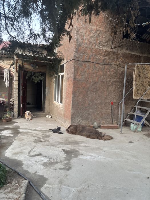 Продаю два дома на участке12сот земли можно под застройку