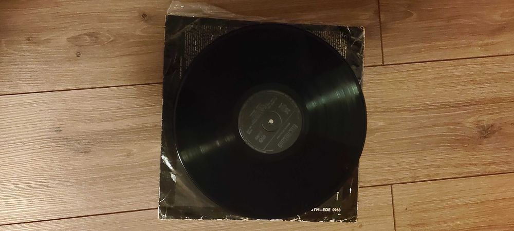 Vinil Phoenix Mugur de Fluier