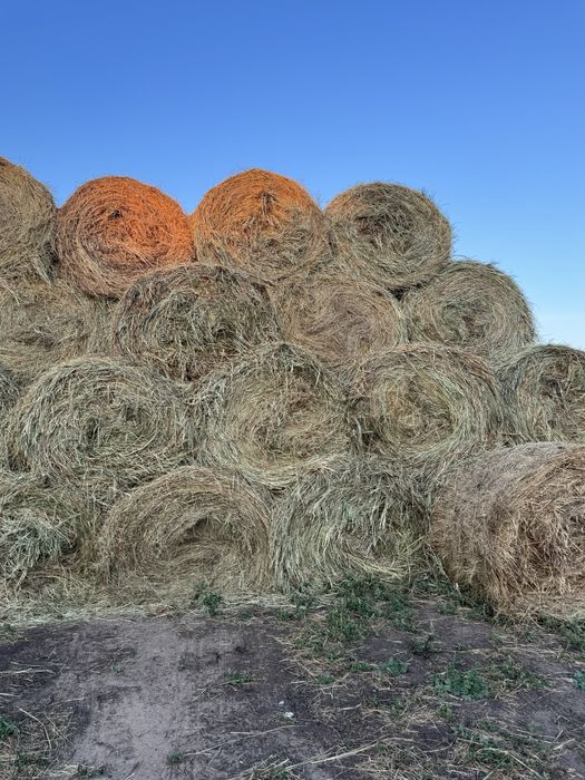 Продается СЕНО в тюках!!!