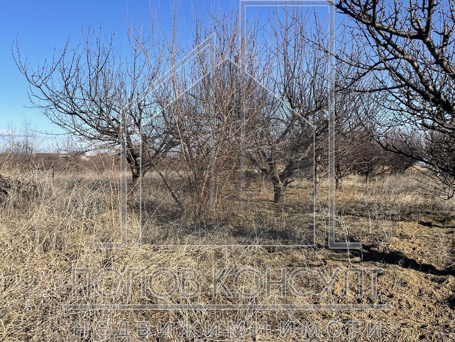 Продава се Парцел в с. Браниполе, Област Пловдив - 3225 кв.м за 39 €/кв.м - Снимка #1