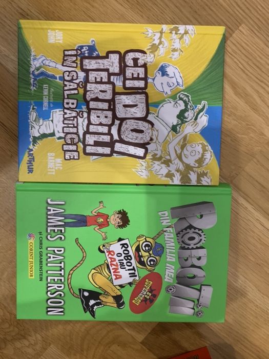 Carti copii editura Arthur si Usborne