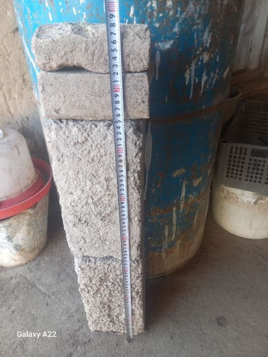 Qora shaxzoda zotlik