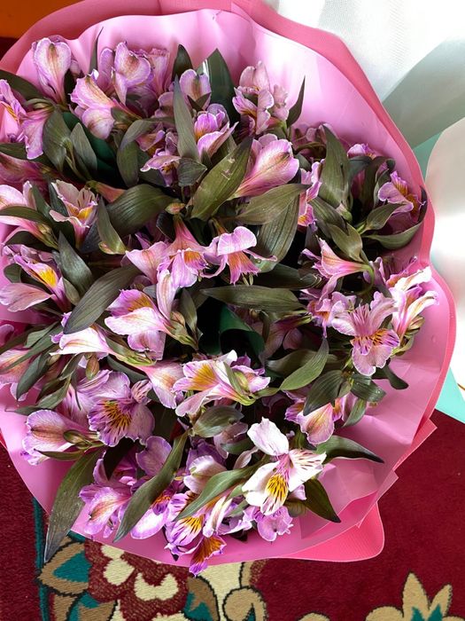 Цветы шымкент за 17 тысяч