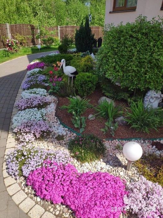 Evropadan ideal turdagi manzarali darahtlar