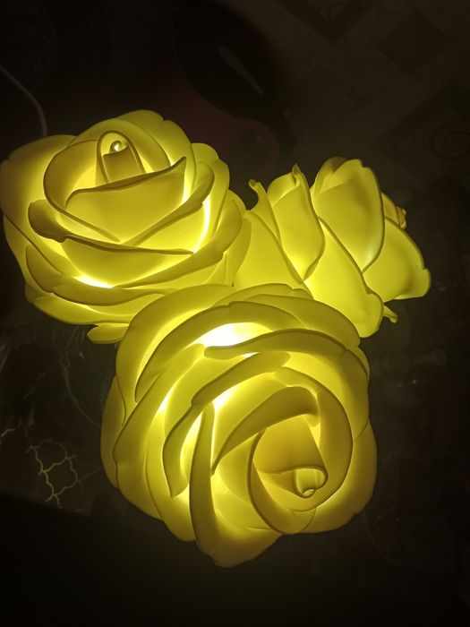 Светильники Розы