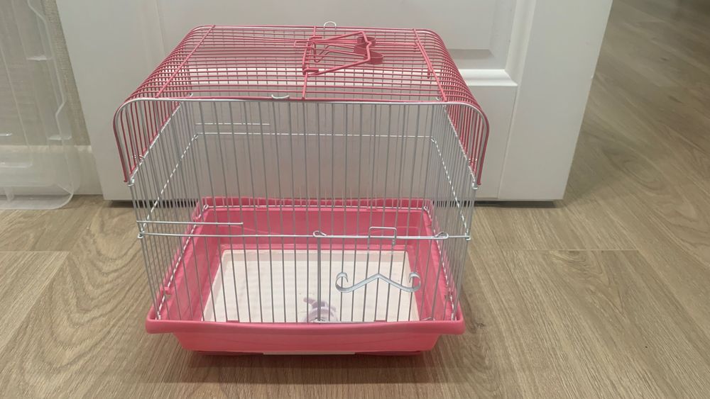 Продам хомяка (джунгарский)