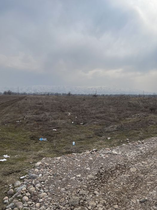 Продам участок 2 гектара