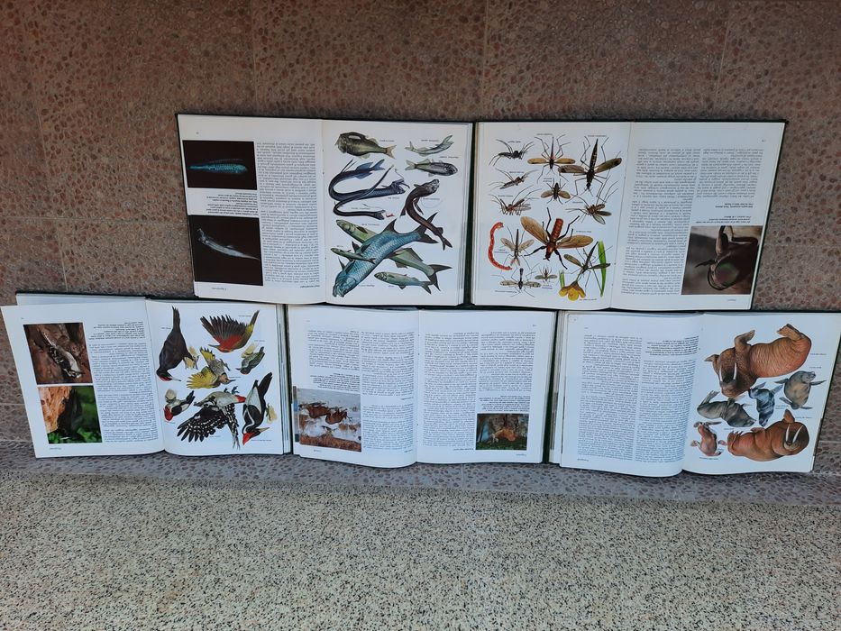 Енциклопедии за животните 5бр.