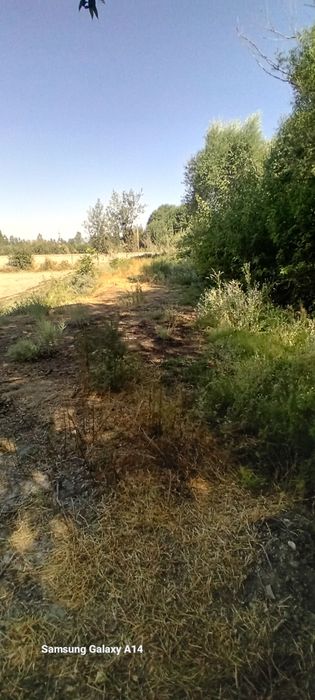 Uy joy sotiladi hovli