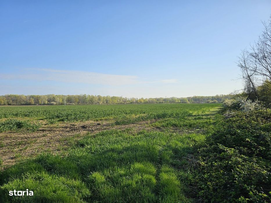 10.100Mp Teren Construcții Intravilan Potigrafu, Deschidere 31M La Dn1