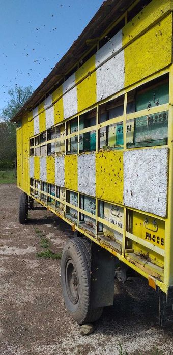 Vând pavilion apicol 36 stupi verticali