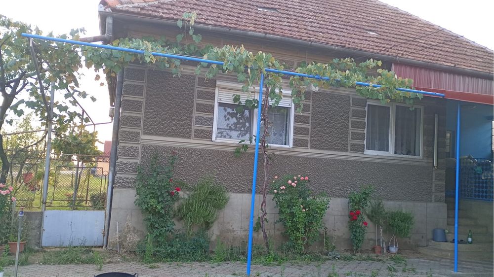 Casa de vanzare Valea Mare de Cris