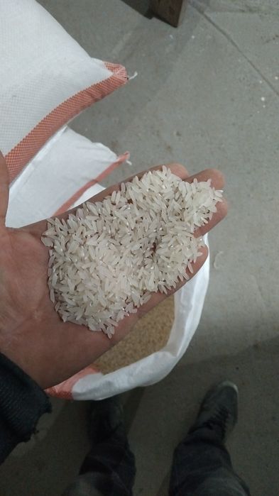 Күріш лазер рис лазер