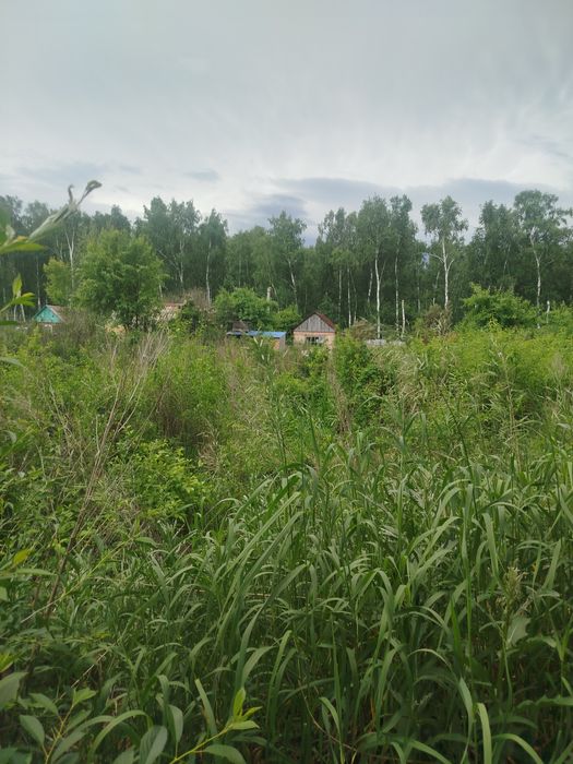 Продам дачный участок