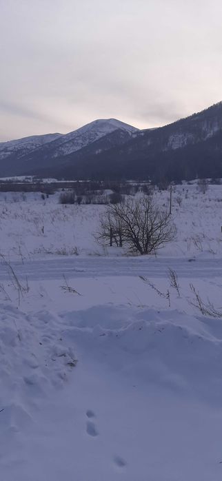 Земельный участок