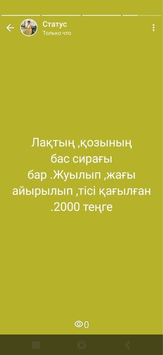 Мен құрбымнан мені белдікпен сипауды өтіндім.
