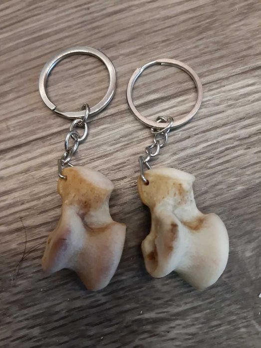 Асык волка амулет.