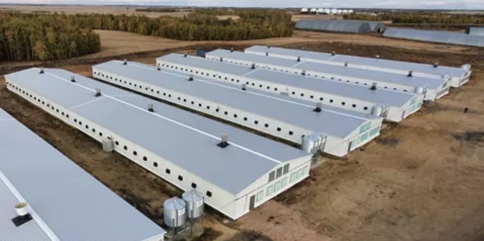 Строим птицефабрика, молочний цех из сэндвич панелей Ангар-Склад, цех.