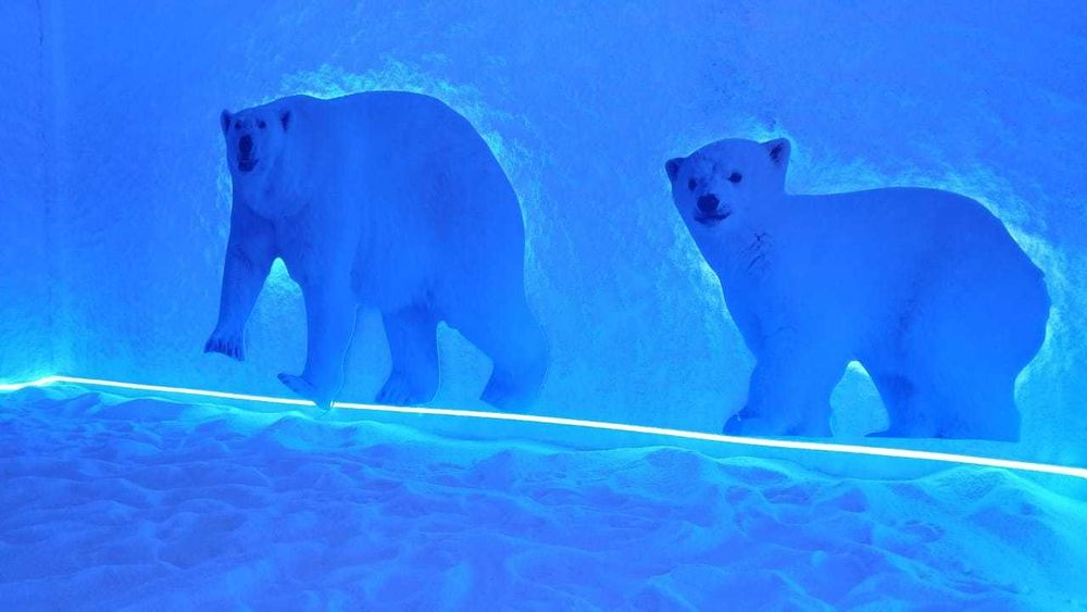 Солевые комнаты, солевые шахты, галотерапия