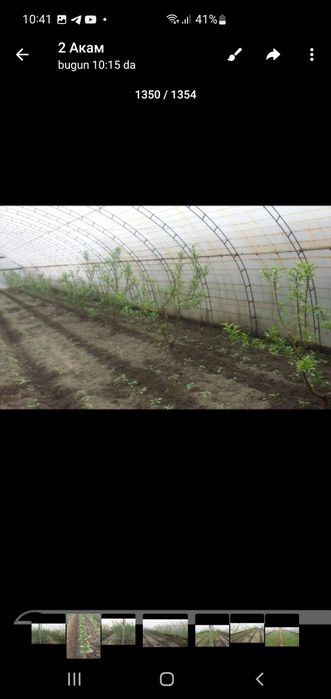 теплиса сотилади энига 12 метр узунлиги 38 метр 1сотиги 450000 минг