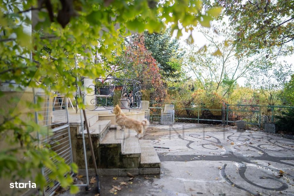 Ocazie unică! Vilă individuală Snagov cu acces direct la lac și ponton