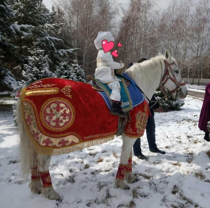 многоязычный ведущий