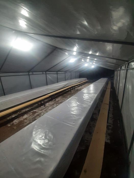 Аренда палаток 24/7