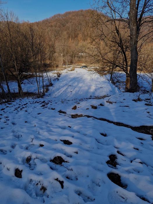 Teren intravilan 2.115 mp - Provița de Sus, Valea Bradului (Prahova)