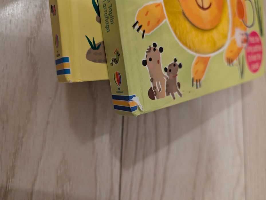 2 cărți usborne cu sunete
