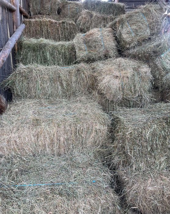 Продава Бали сено