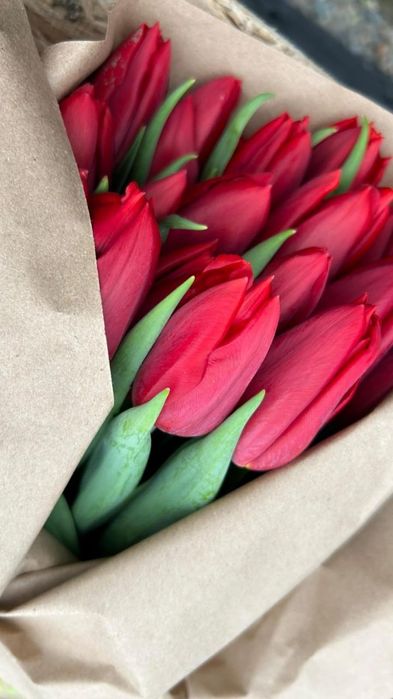 Тюльпаны по 600 тенге