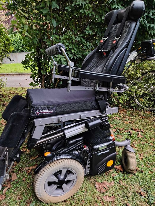 Căruț electric pentru persoane cu dezabiltati