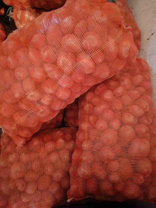 Продам картофель галандский сорт