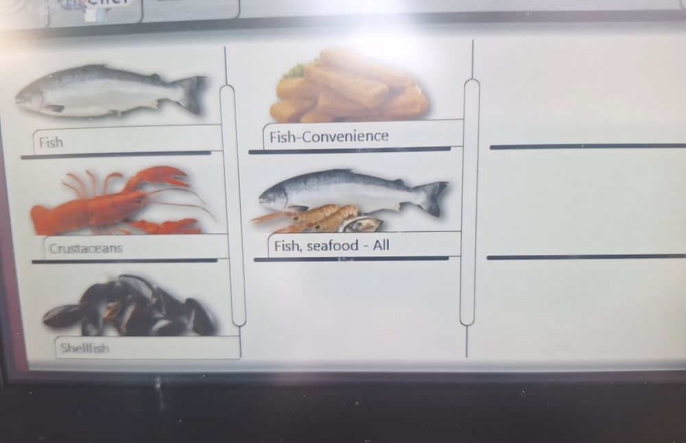 Cuptor dublu MKN 2X6 tavi