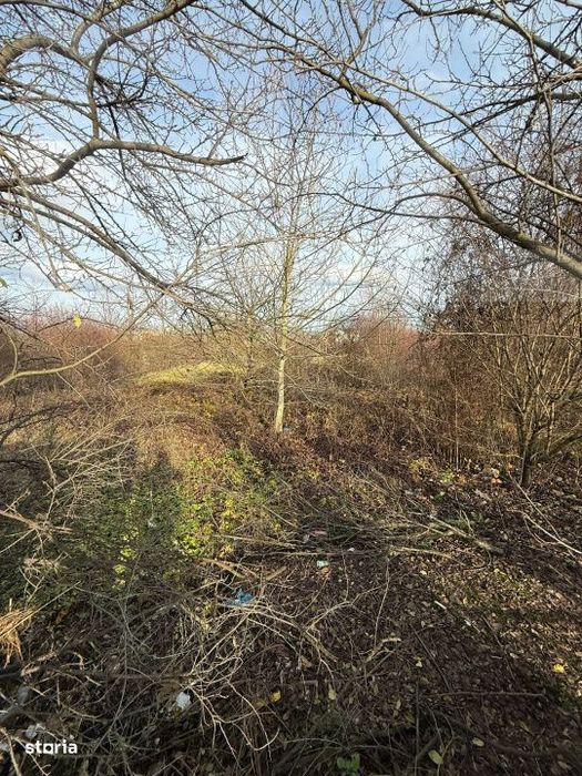 Blitz ofera spre inchiriere – Teren 6.500 mp, Calea Zarandului, Dev