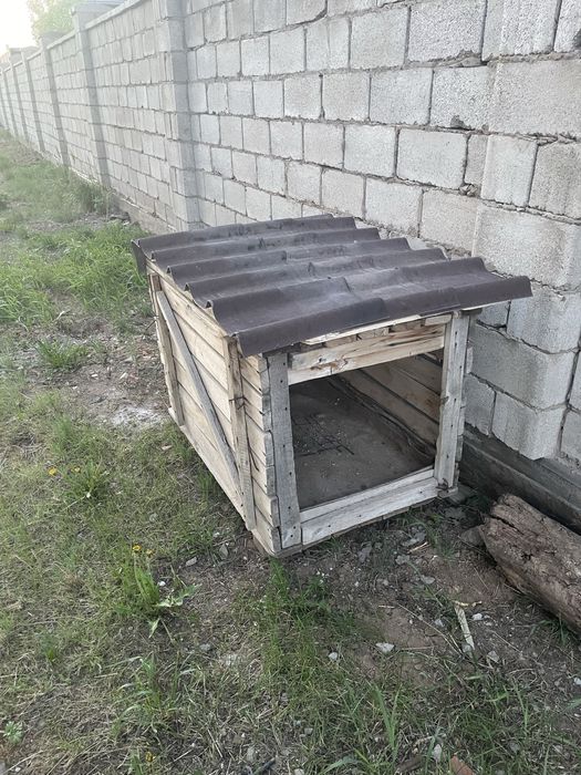 Отдам бутку для собаки