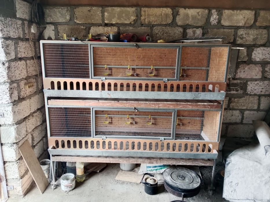 Брудер сатылады клетка