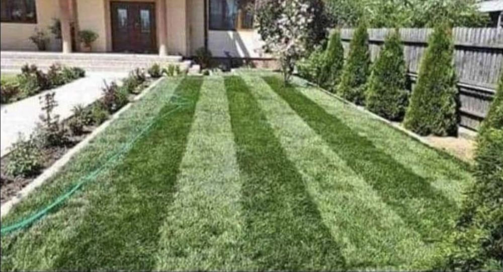 Amenajari gradini calitate superioass