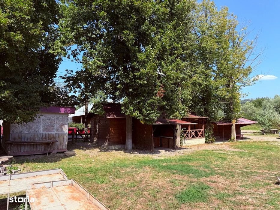 Teren Bazar Darmanesti