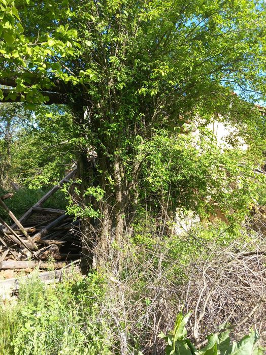 Продава се Къща в с. Долна Гращица, Област Кюстендил - 228 кв.м за 145 €/кв.м - Снимка #6