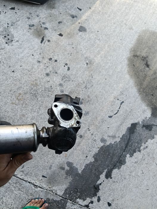 EGR Peugeot Citroen Ford 1.6 Diesel euro 4