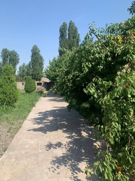 Участок 29,5 соток